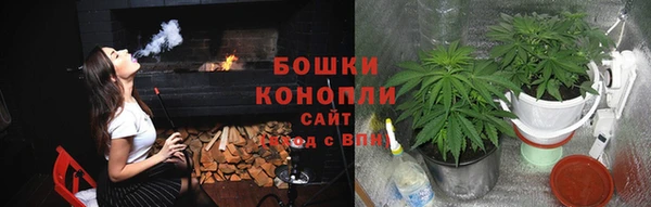 шишки Бородино
