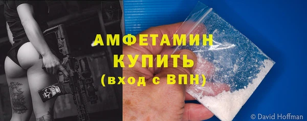 шишки Бородино