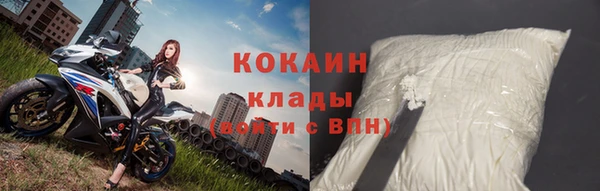 эйфоретик Богданович