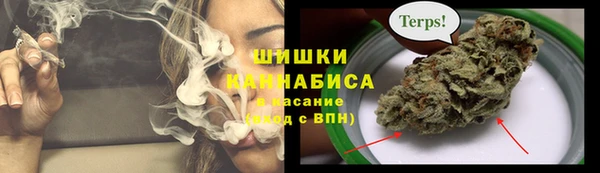 эйфоретик Богданович