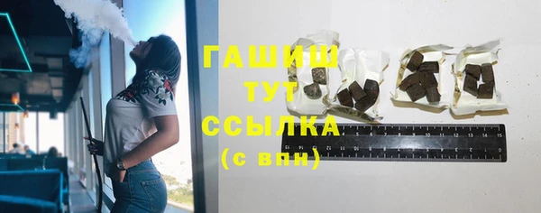 гидра Богородск
