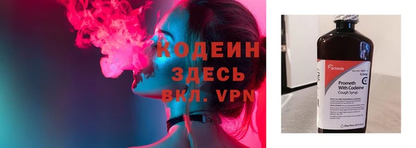 гидра Богородск