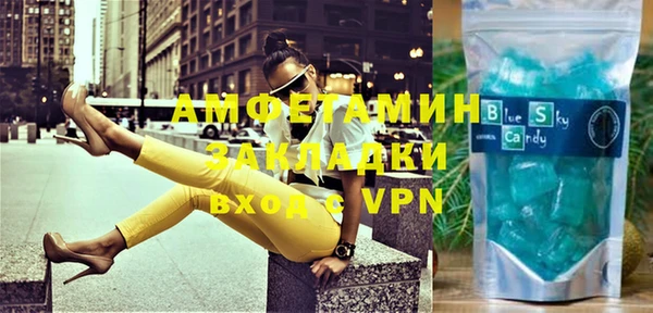 шишки Бородино