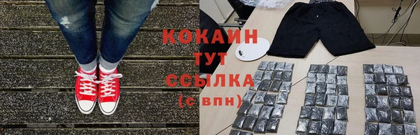 эйфоретик Богданович