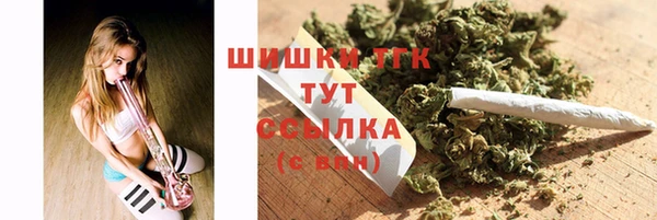гидра Богородск