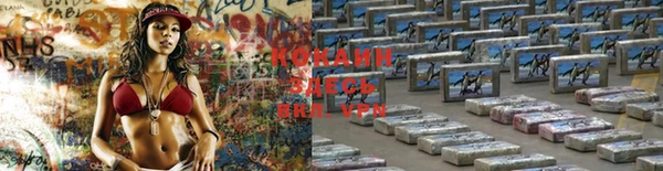 шишки Бородино