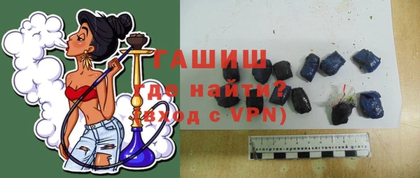 гидра Богородск