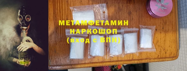 гидра Богородск